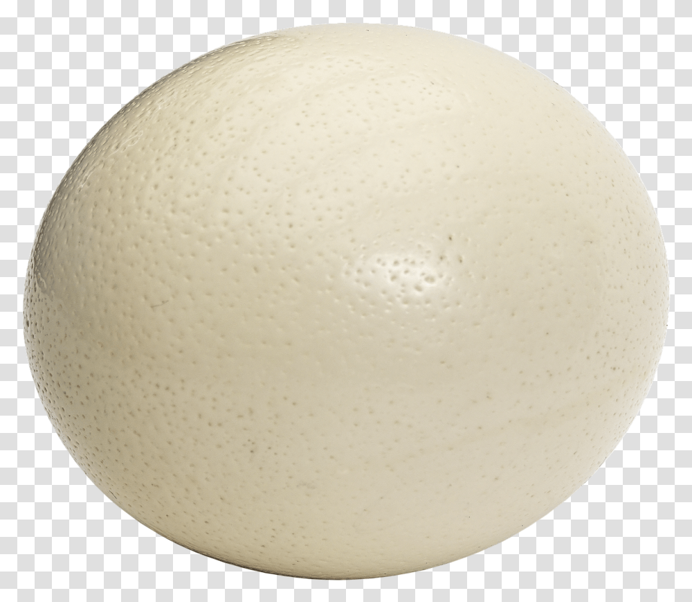 Ostrich Egg Egg Large Egg Free Photo Ostrich Egg, Food Transparent Png
