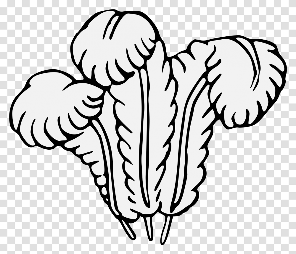 Ostrich Feather Clip Art, Plant, Fungus, Stencil, Flower Transparent Png