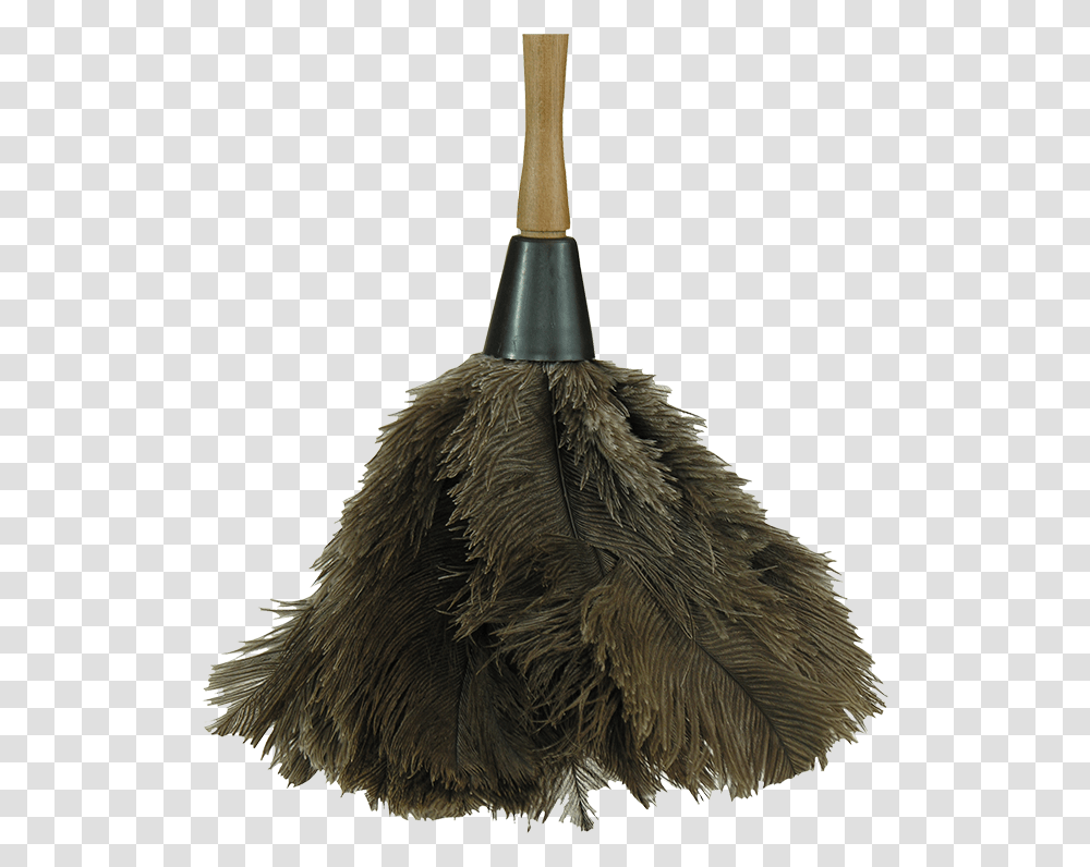 Ostrich Feather Dusters Feather Duster, Broom, Bird, Animal Transparent Png
