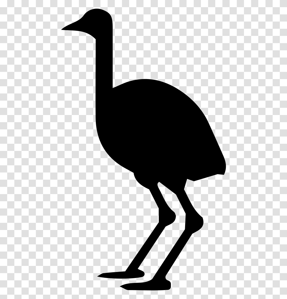 Ostrich Icon Free Download, Silhouette, Bird, Animal, Kiwi Bird Transparent Png