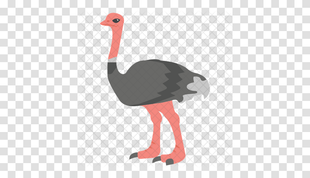 Ostrich Icon Ostrich, Bird, Animal, Beak, Axe Transparent Png