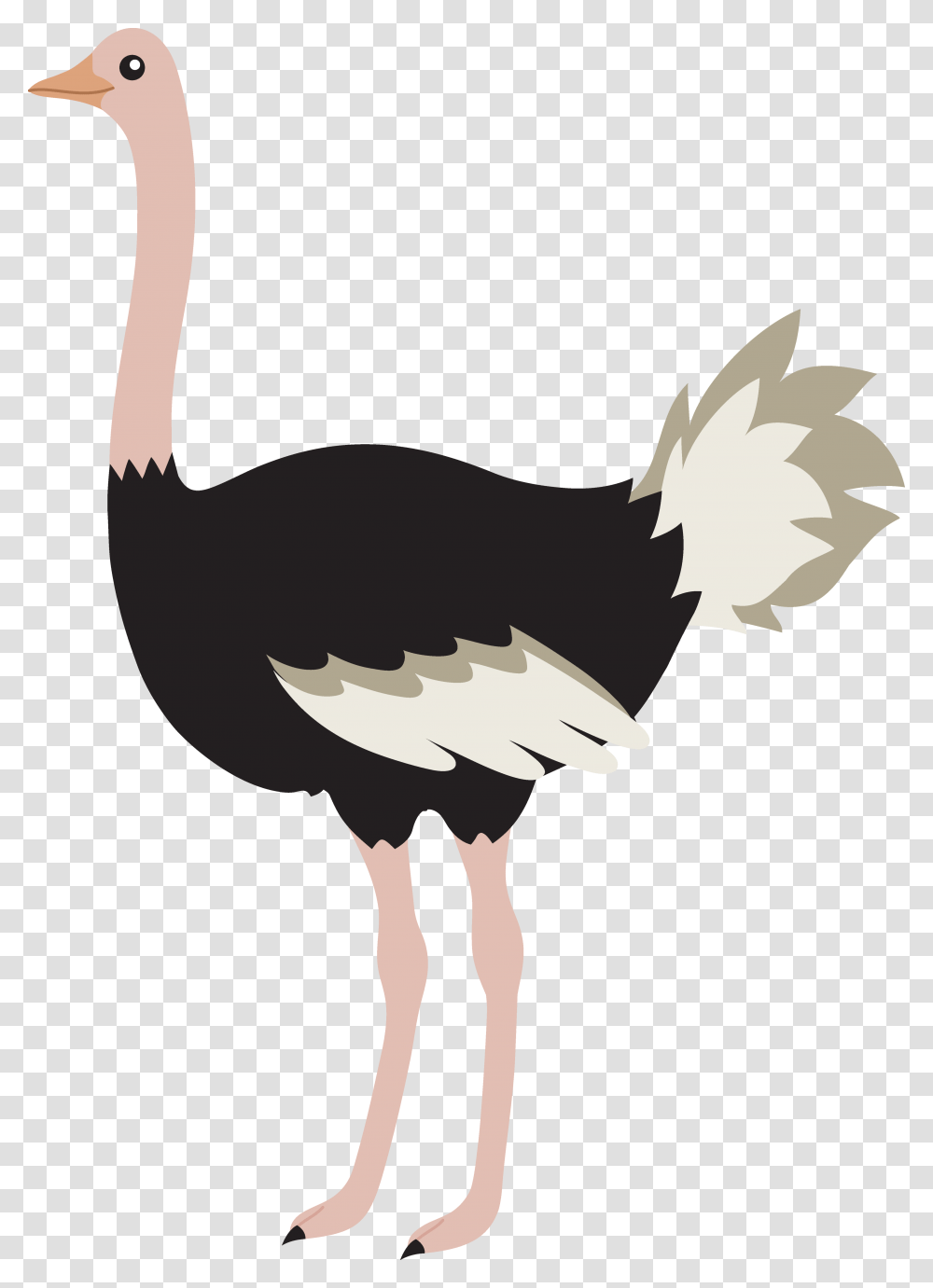 Ostrich Like Clipart, Bird, Animal, Person, Human Transparent Png