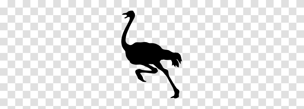 Ostrich Running Sticker, Animal, Bird, Dog, Pet Transparent Png