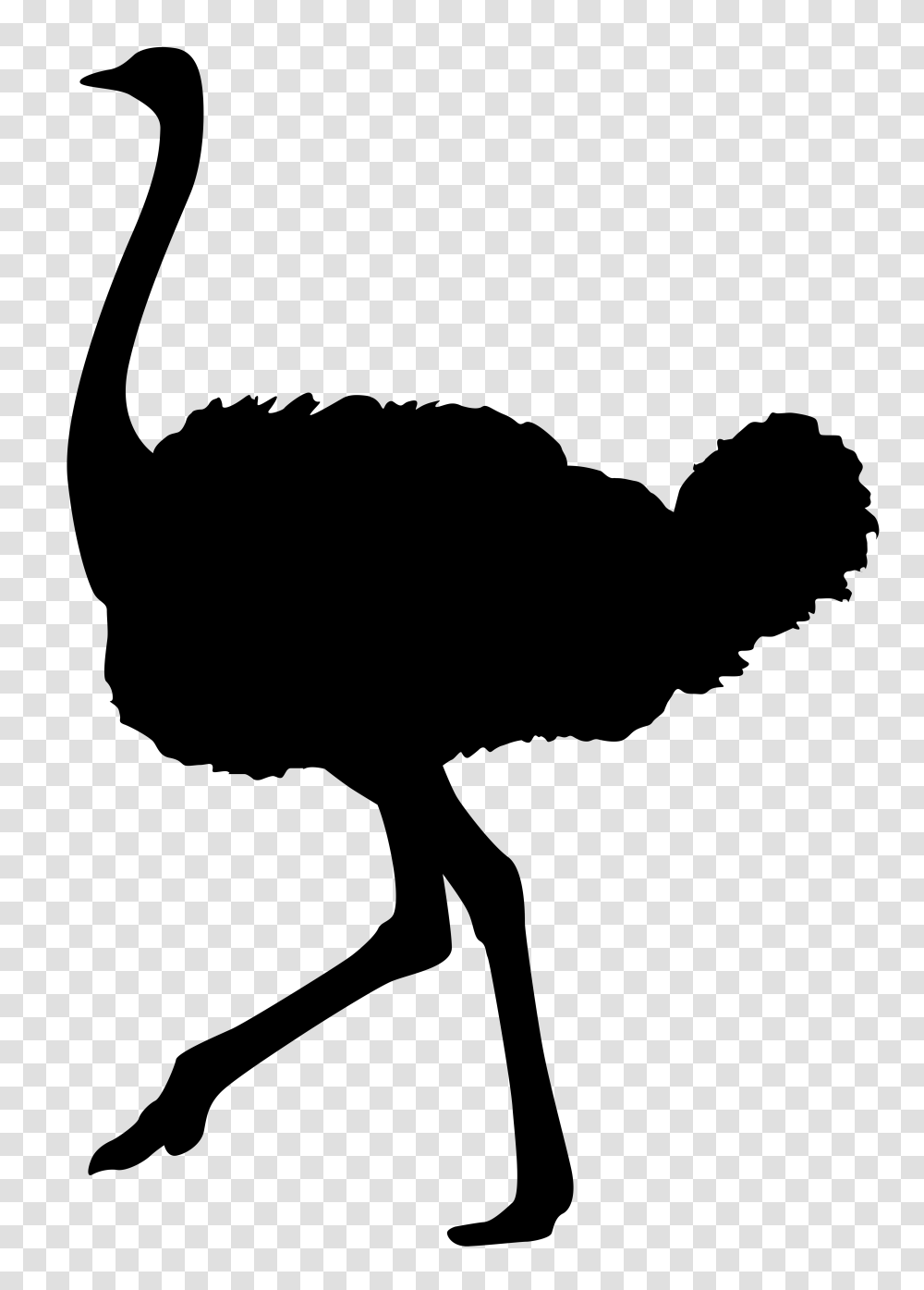 Ostrich Silhouette Clip Art Gallery, Key, Alphabet Transparent Png