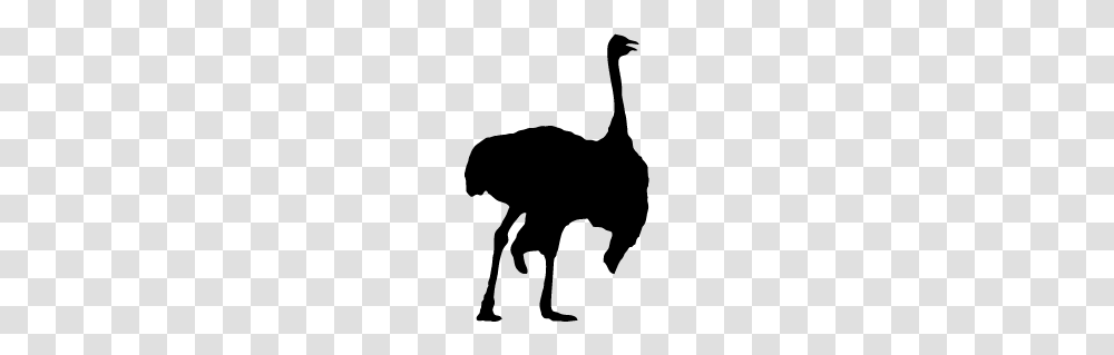 Ostrich Silhouette Silhouette Of Ostrich, Stencil, Animal, Mammal, Pet Transparent Png