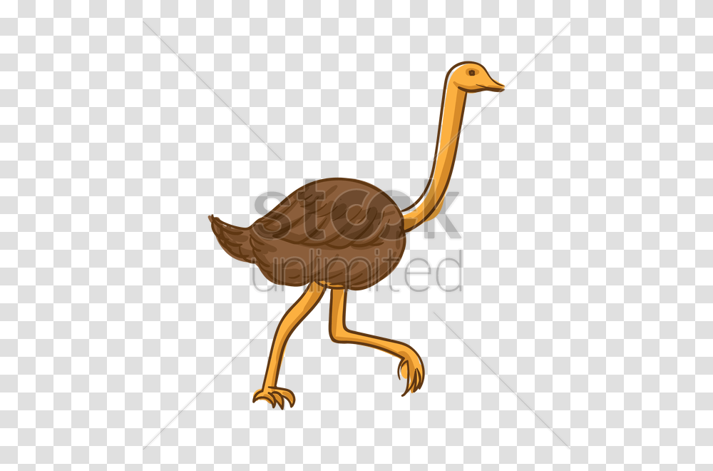 Ostrich Vector Image, Bow, Bird, Animal, Dodo Transparent Png