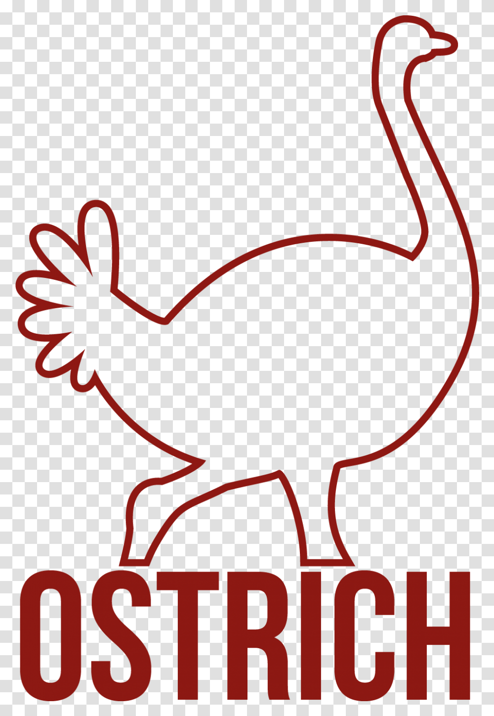 Ostrich Water Bird, Animal, Fowl, Poultry, Antelope Transparent Png