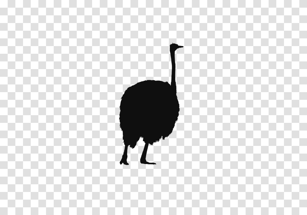 Ostrich Wild Animals Background Ostrich Paper Cutting Black, Bird, Silhouette Transparent Png