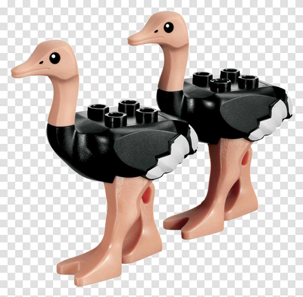 Ostrichs Lego Ostrich, Animal, Bird, Sink Faucet, Goose Transparent Png