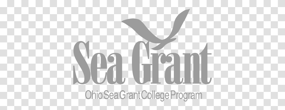Osu Sea Grant Calligraphy, Poster, Advertisement, Alphabet Transparent Png