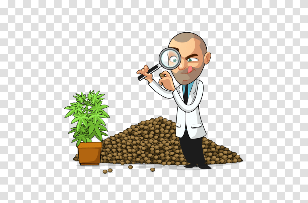 Other Clipart Seed Growth, Toy, Chef, Waiter Transparent Png