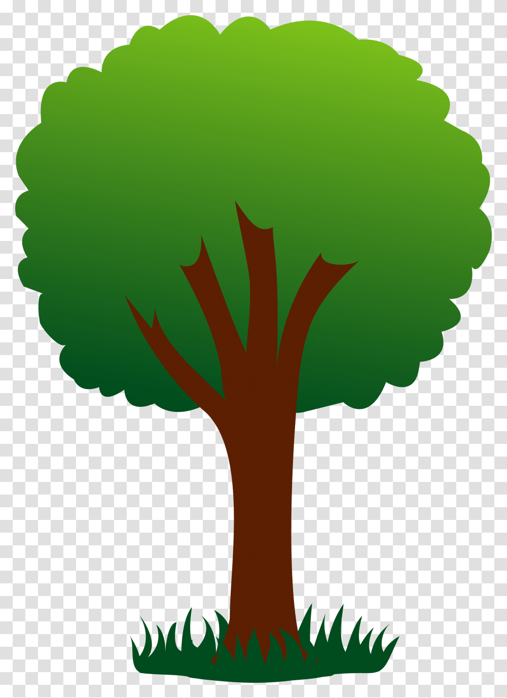 Other Popular Collections Cartoon Picture Of Tree, Plant, Green, Flower Transparent Png