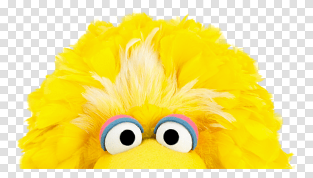 Other Ways To Support Us Sesame Workshop Soft, Plush, Toy, Art, Angry Birds Transparent Png