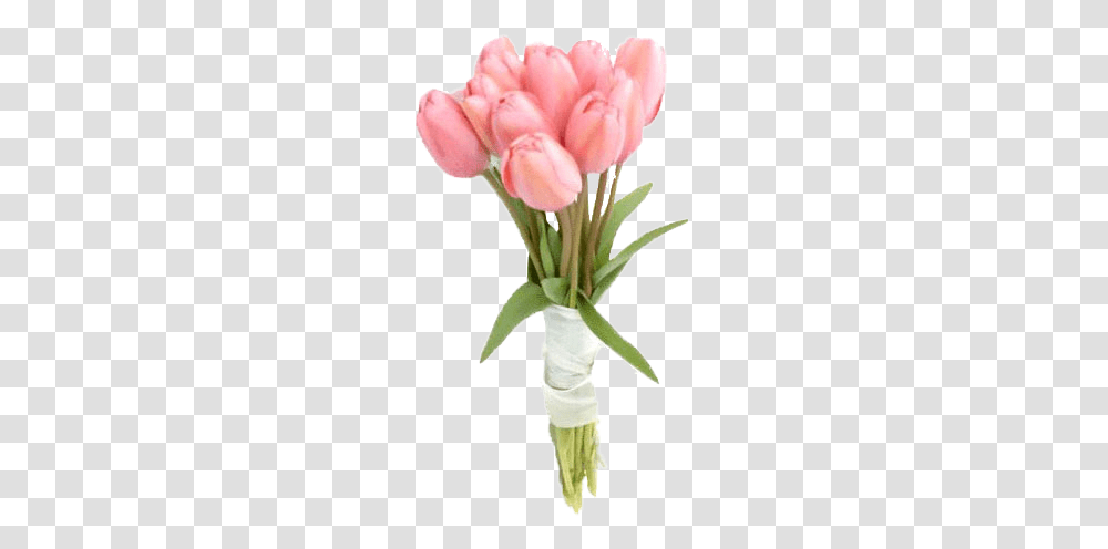 Otro Sitio Ms De Wordpress, Plant, Flower, Blossom, Petal Transparent Png