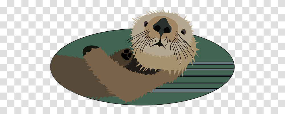 Otter Nature, Mammal, Animal, Wildlife Transparent Png