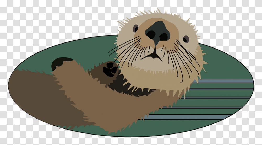 Otter Animal Mammal Free Vector Graphic On Pixabay Sea Otter Clipart Cute, Wildlife, Rodent, Bird, Beaver Transparent Png