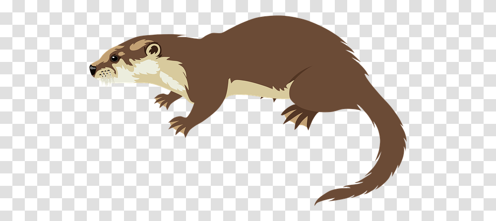 Otter Animal Wildlife Free Vector Graphic On Pixabay Otter Cartoon, Mammal, Beaver, Rodent Transparent Png