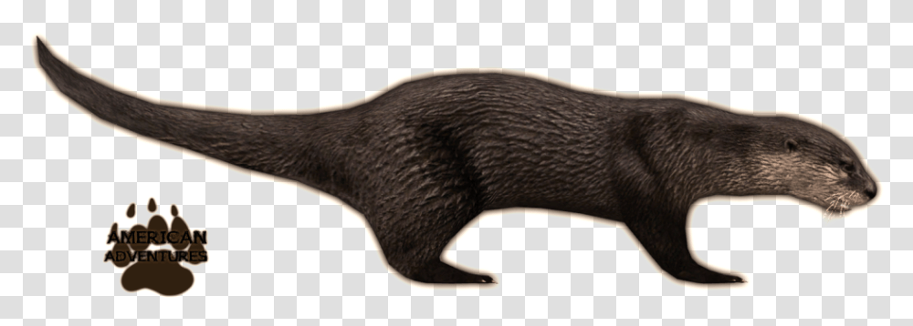 Otter Background Image Zoo Tycoon 2 Otter, Wildlife, Animal, Mammal, Sunglasses Transparent Png