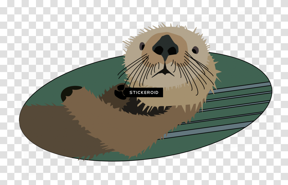 Otter California Sea Lion, Mammal, Animal, Wildlife, Beaver Transparent Png