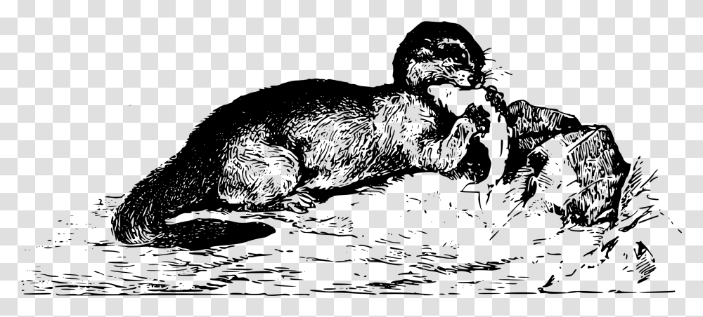 Otter Clip Arts Punxsutawney Phil, Gray, World Of Warcraft Transparent Png