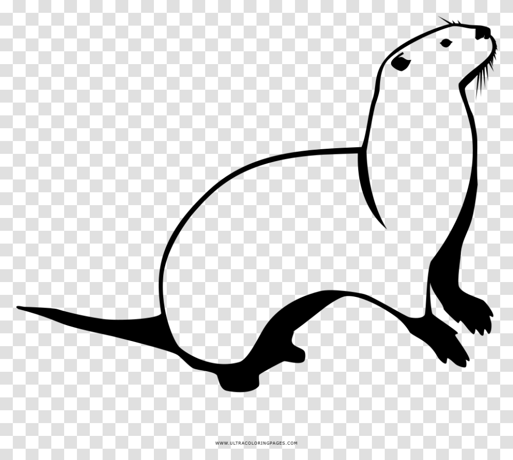 Otter Coloring, Gray, World Of Warcraft Transparent Png