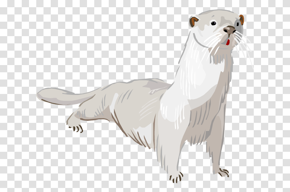 Otter Dog, Mammal, Animal, Wildlife Transparent Png