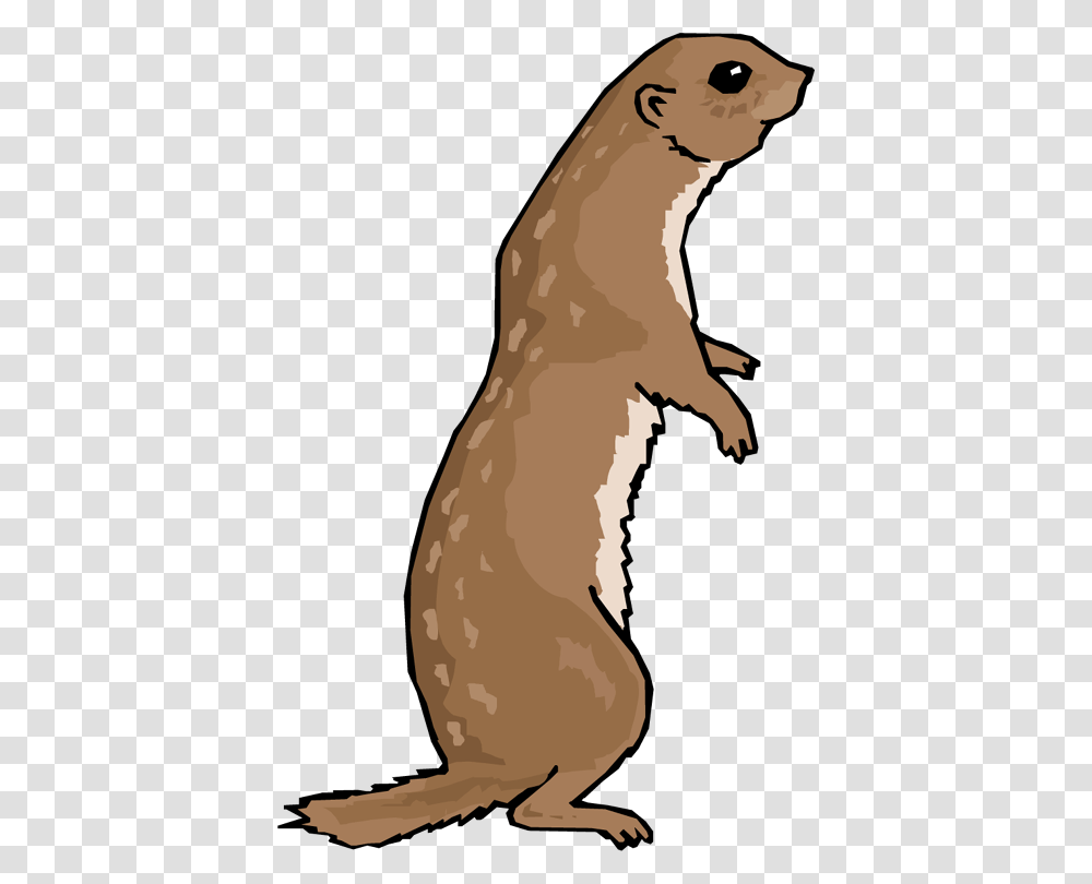 Otter, Mammal, Animal, Wildlife, Person Transparent Png
