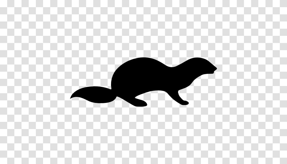 Otter Photos, Mammal, Animal, Wildlife, Dog Transparent Png