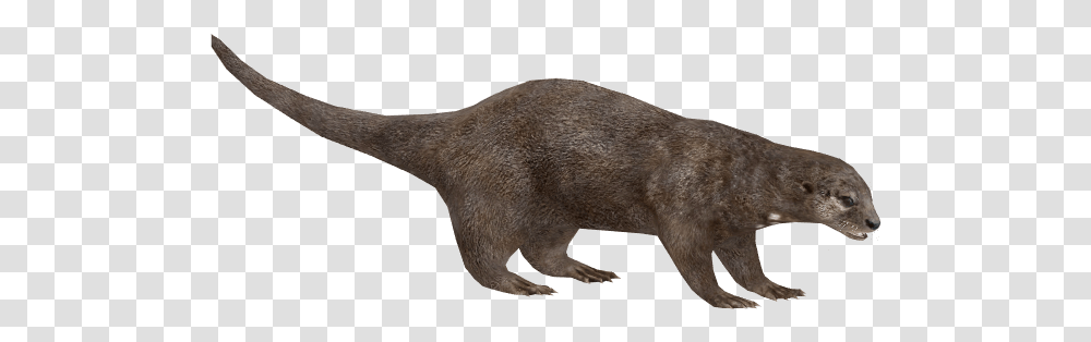 Otter Pic Otter Zoo Tycoon, Mammal, Animal, Wildlife, Cat Transparent Png