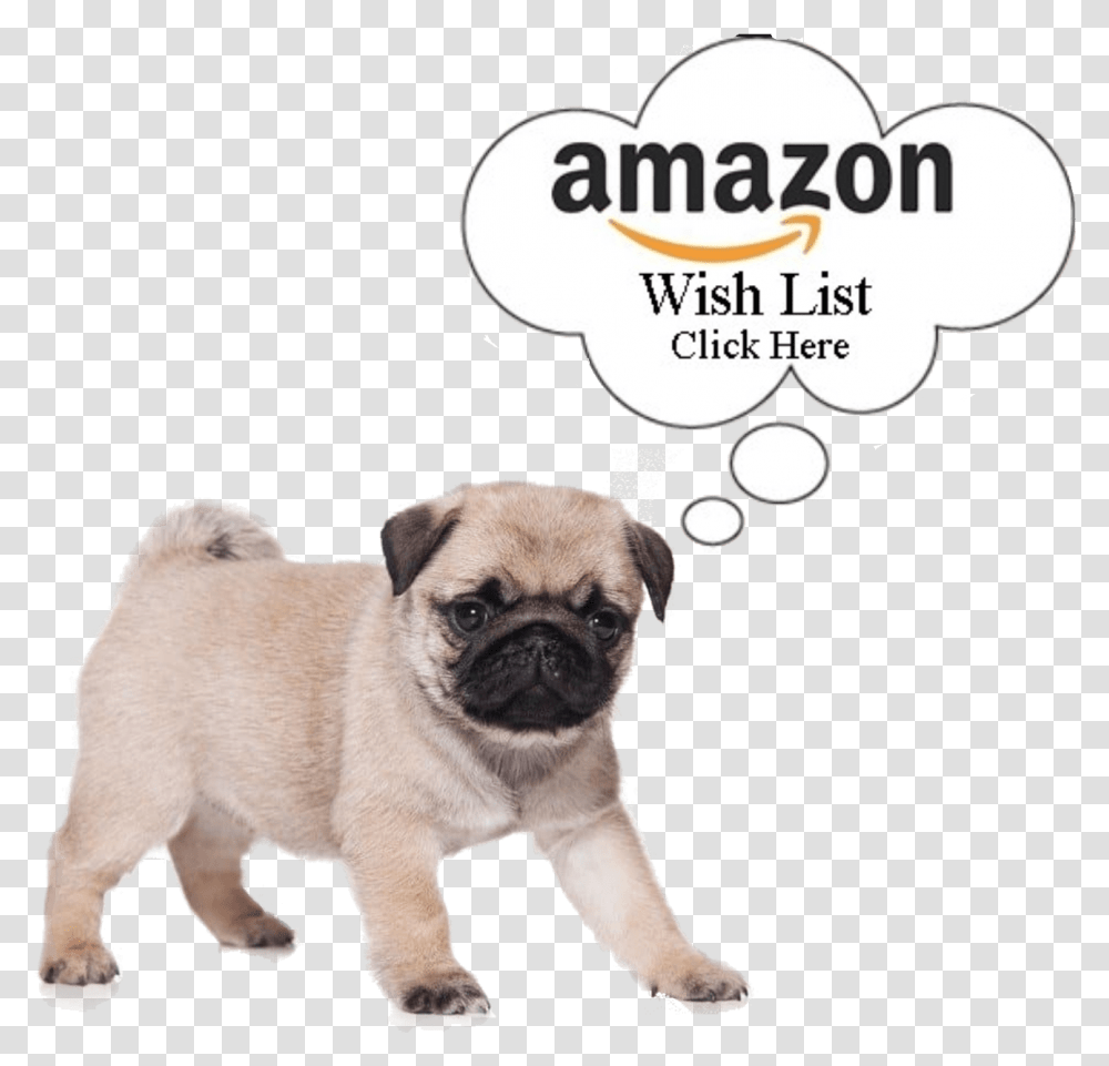 Our Amazon Wishlist Anatomy Of A Doggo, Pet, Canine, Animal, Mammal Transparent Png
