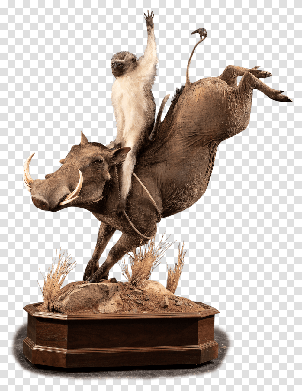 Our Animal Figure, Mammal, Lion, Wildlife, Statue Transparent Png