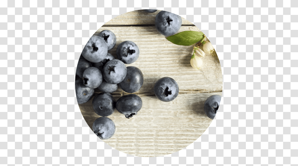 Our Berries The Fresh Berry Company Blueberry, Fruit, Plant, Food, Bird Transparent Png