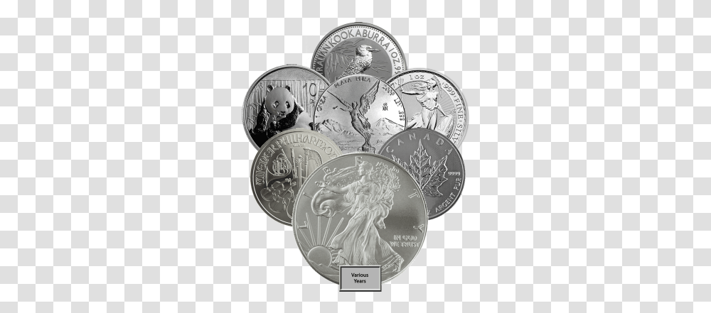 Our Choice 1oz Silver Coin Investment Market Quarter, Money, Person, Human Transparent Png