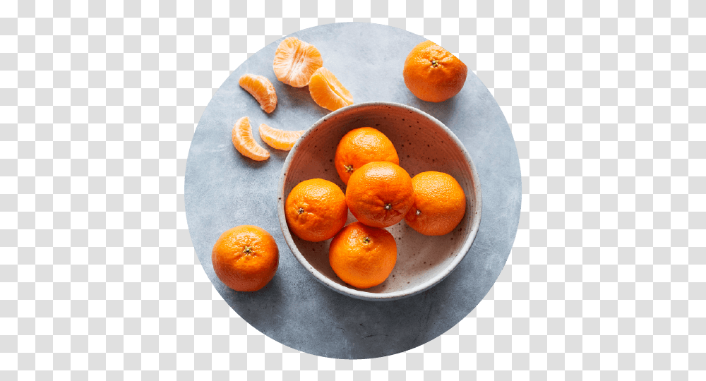 Our Citrus Clementine, Citrus Fruit, Plant, Food, Orange Transparent Png