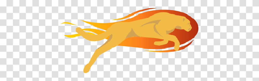 Our Logo Logo Fire Cheetah, Animal, Fish, Goldfish, Mammal Transparent Png