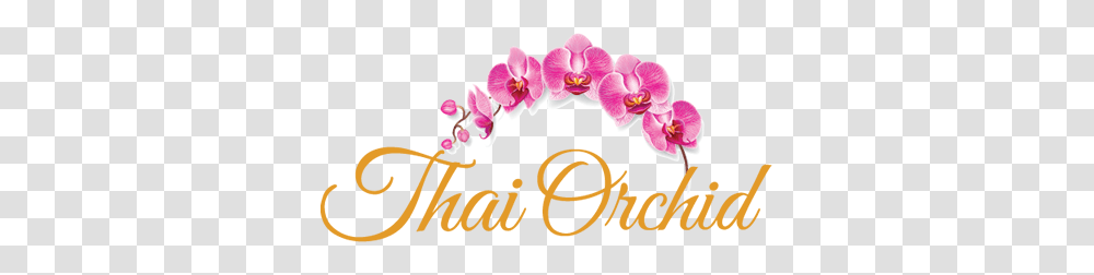 Our Menu Thai Orchid, Plant, Flower, Blossom Transparent Png