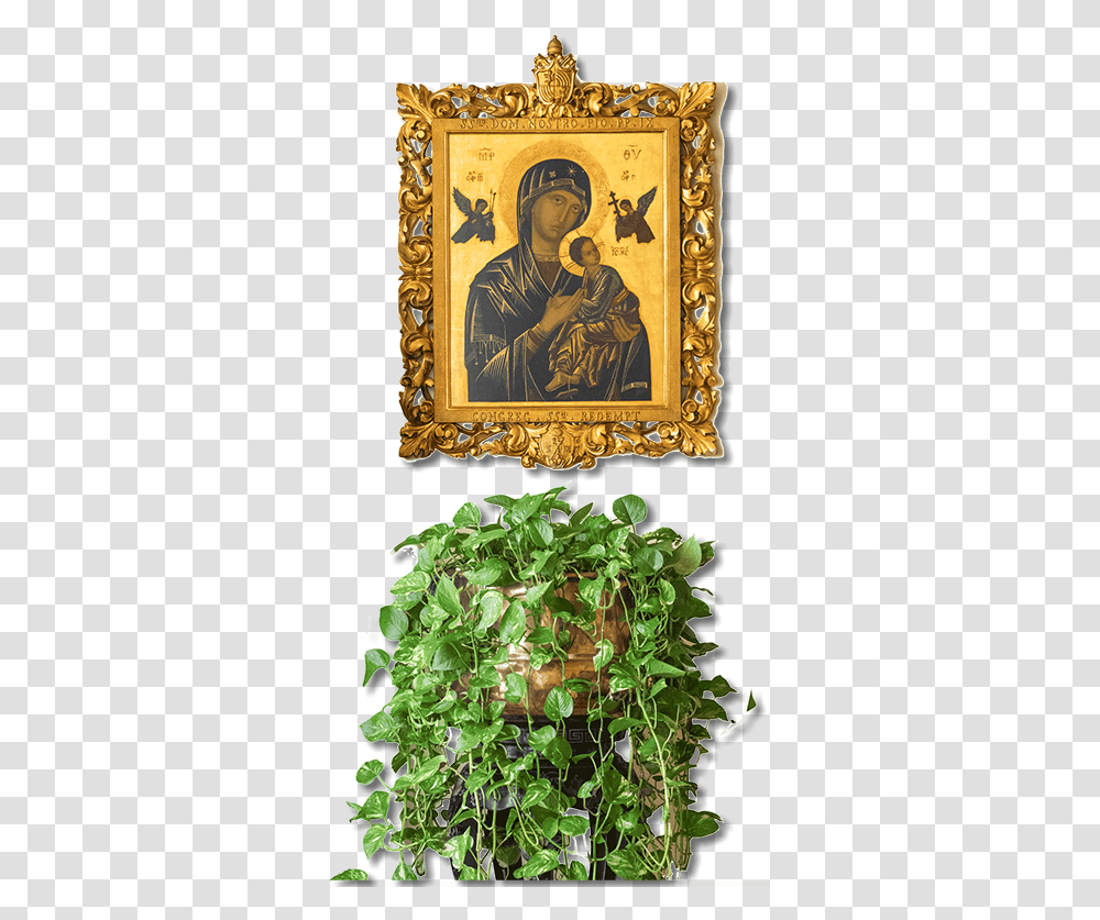 Our Mother Of Perpetual Help, Person, Human, Plant Transparent Png