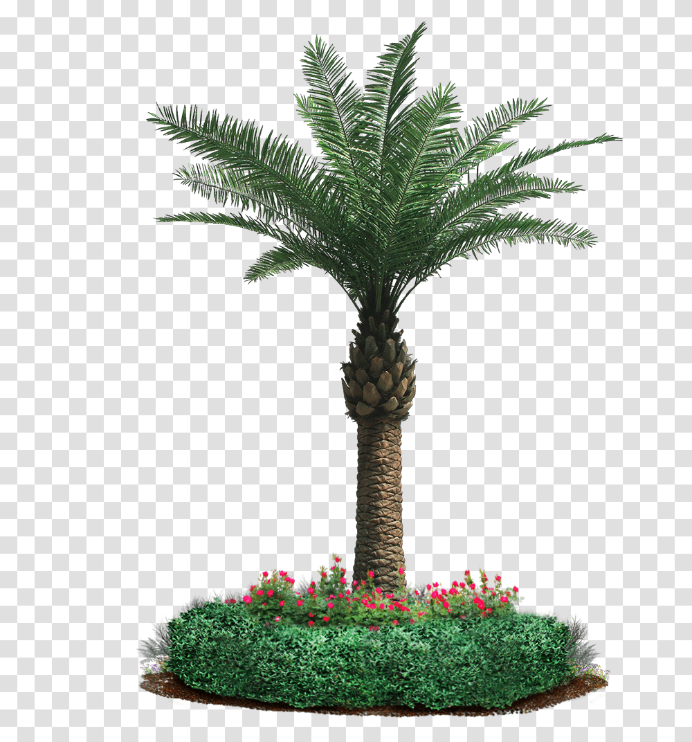 Our Motto Is Leaf It To Us And It Holds The Companyquots Date Palm Tree Craft, Plant, Arecaceae, Cross Transparent Png
