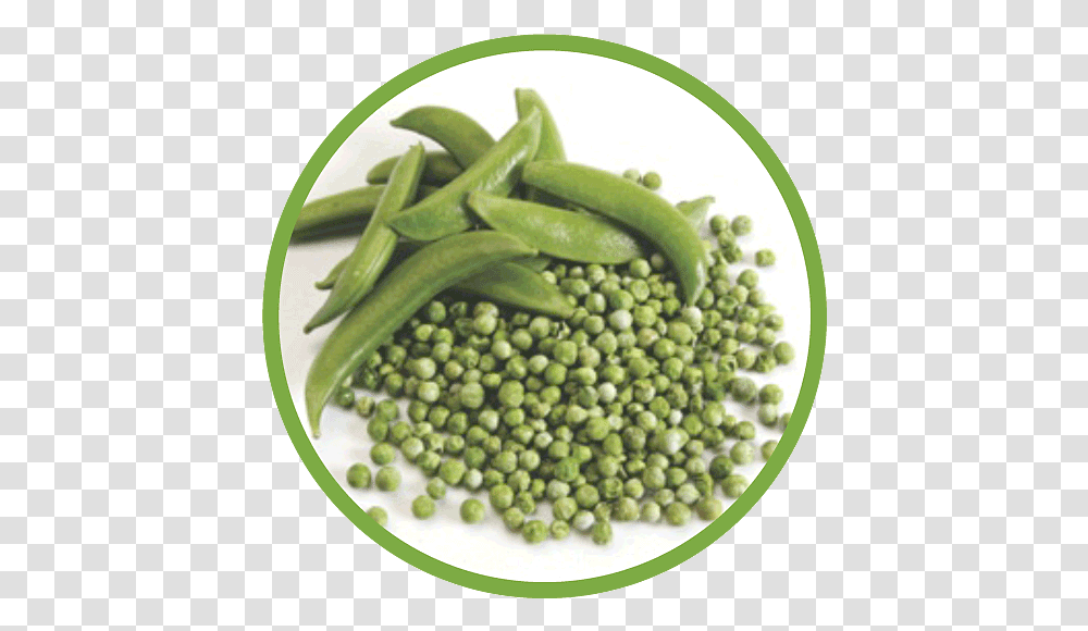 Our Peas Are One Of The Many Dried Vegetables We Offer Snap Pea, Plant, Food, Produce, Bean Transparent Png