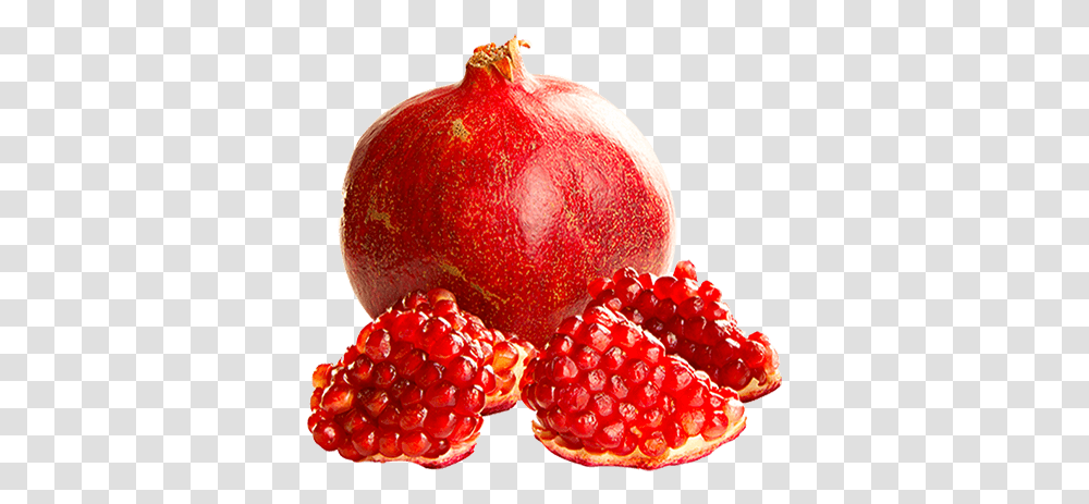 Our Pomegranate Pomegranate, Plant, Produce, Food, Fruit Transparent Png