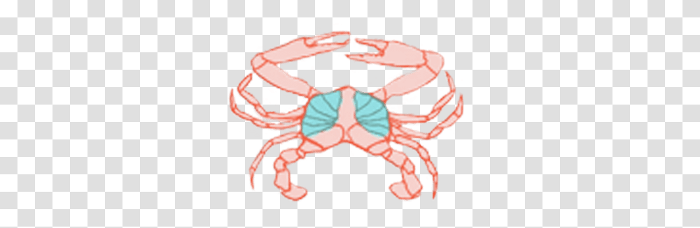 Our Product Cancer, Crab, Seafood, Sea Life, Animal Transparent Png