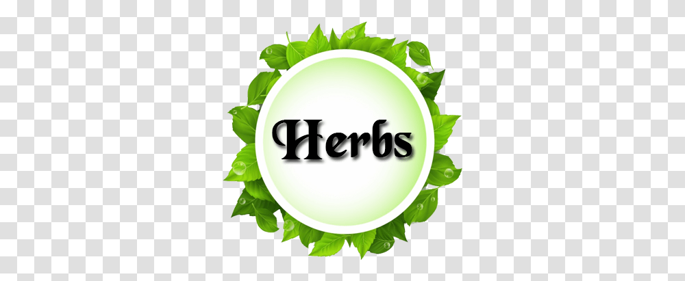 Our Products Vector Green Leaf, Plant, Vegetation, Graphics, Art Transparent Png