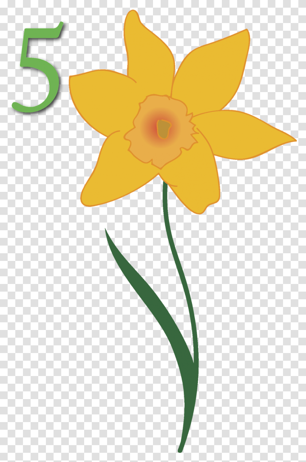 Our Pto Arranged For This Room Sized Map Of North America Narcissus, Plant, Flower, Blossom, Daffodil Transparent Png
