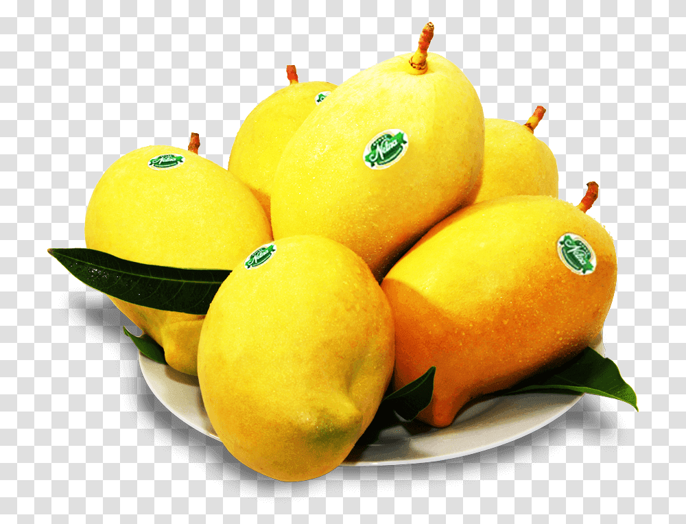 Our Range Of Wholesome Mango Products Tjc Mango Sri Lanka, Plant, Fruit, Food Transparent Png