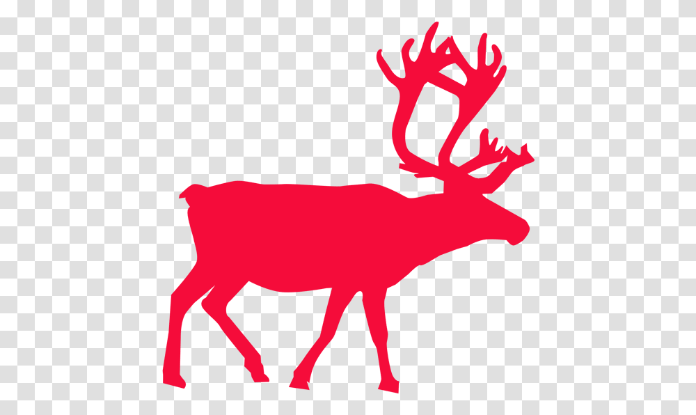 Our Reindeer Gower Fresh Christmas Trees Vector Reindeer And Santa, Elk, Wildlife, Mammal, Animal Transparent Png
