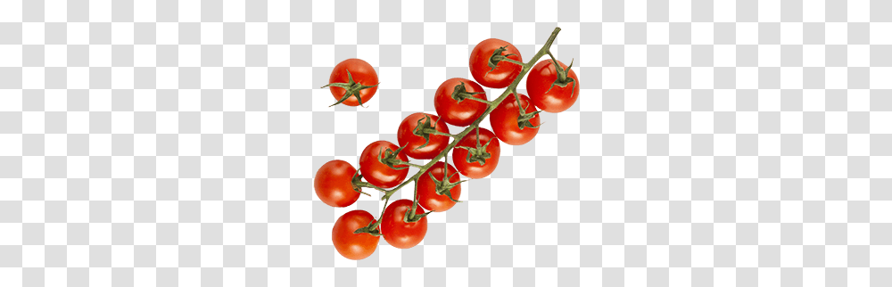 Our Vegetables Red Sun Farms, Plant, Food, Tomato, Fruit Transparent Png