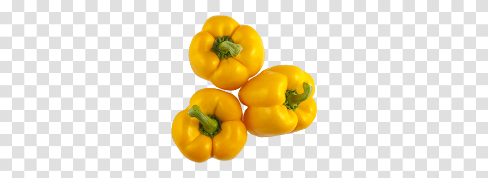 Our Vegetables Red Sun Farms, Plant, Pepper, Food, Bell Pepper Transparent Png