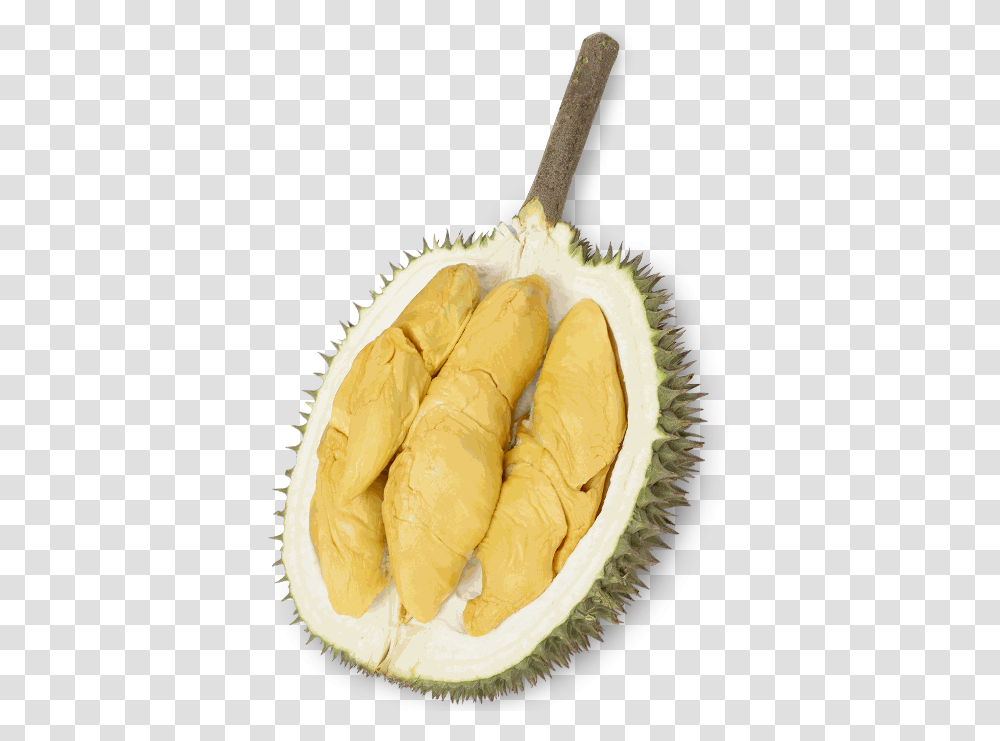 Ourdurain Osoam Farm Durian, Plant, Fruit, Produce, Food Transparent Png