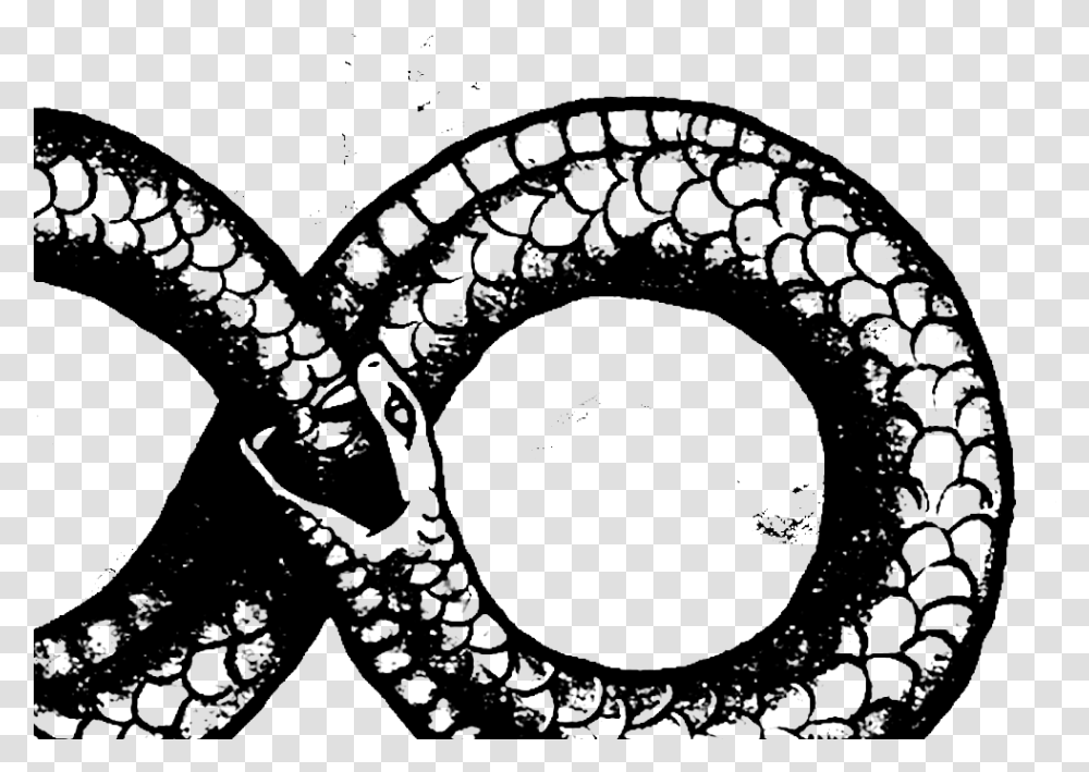Ouroboros Crop Snake In 8 Shape, Gray, World Of Warcraft Transparent Png