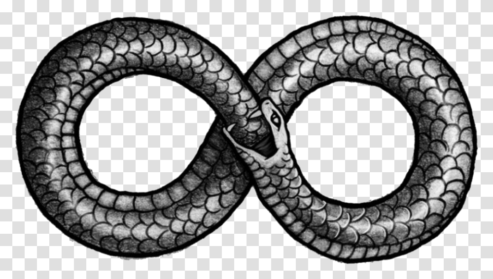 Ouroboros Images Snake In Figure, Animal, Tattoo, Skin, Reptile Transparent Png